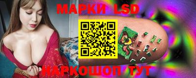 гашик Кунгур