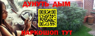 гашик Кунгур