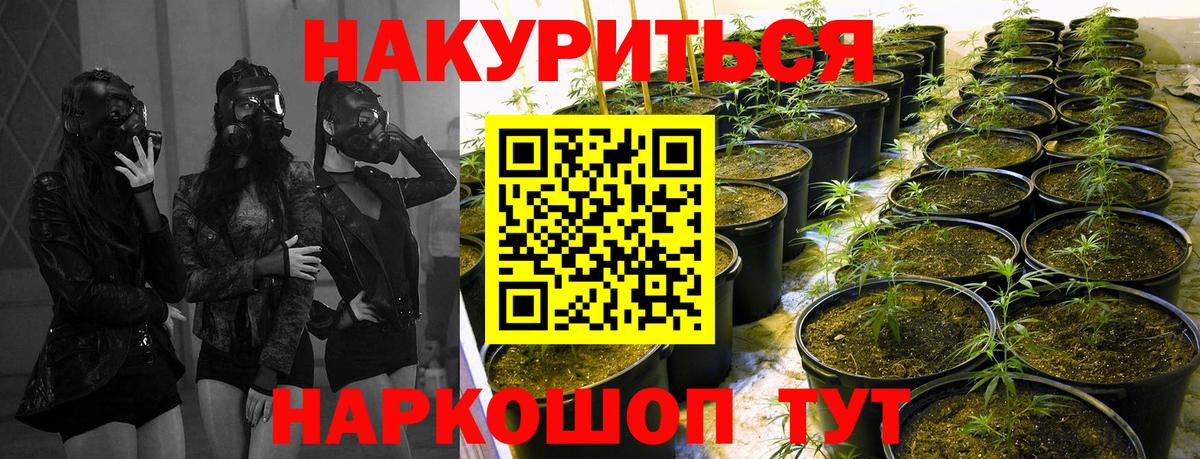 Кизляр  Канабис Bruce Banner  Вход с VPN  Каннабис индика  Бошки Шишки гибрид 